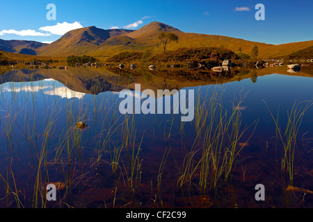 Vue sur Lochan na h-Achlaise avec le Mont Noir, une chaîne de montagnes par le côté de Rannoch Moor dans la distance. Banque D'Images