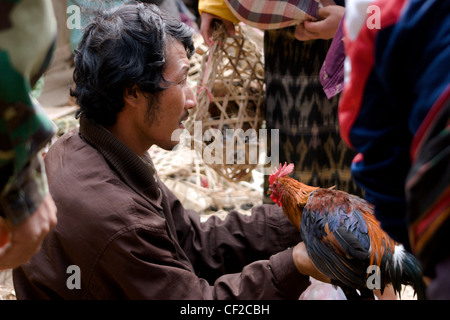 Un homme vend un coq à la place du marché principal de Xiang Khoang, (Xieng Khouang, Phonsavan Laos). Banque D'Images