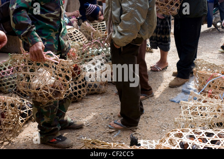 Les consommateurs sont passés à vivre coqs et poules dans des cages sur le marché de Xiang Khoang, (Xieng Khouang, Phonsavan Laos). Banque D'Images