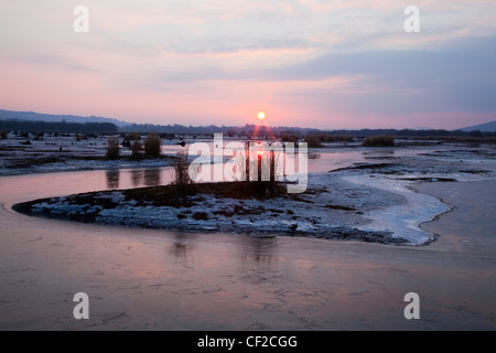 Coucher du soleil en hiver à la Gearagh Bréantrá ; près de County Cork Irlande Banque D'Images