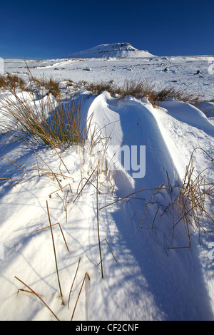 La neige couvrant le Pen-y-ghent, un est tombé dans le Yorkshire Dales et l'un des trois sommets du Yorkshire, en hiver. Banque D'Images