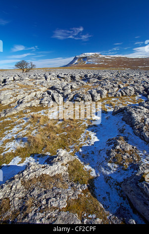 Vue sur la cicatrice blanche lapiez vers Ingleborough, la deuxième plus haute montagne dans le Yorkshire Dales et l'un des Banque D'Images