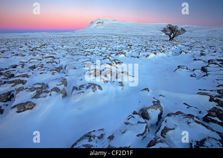 Au coucher du soleil Vue d'hiver vers Ingleborough, l'un des trois pics de Yorkshire White Scars, un grand plateau calcaire dans le Banque D'Images