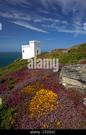 Ianthi's Tower at South Stack cliffs, la RSPB visitor centre pour l'observation des colonies d'oiseaux de mer nicheurs, entouré par l'ajonc et il Banque D'Images