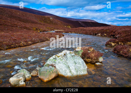 Rivière qui traverse les collines de bruyère Gleann Eanaich dans le Parc National de Cairngorms. Banque D'Images