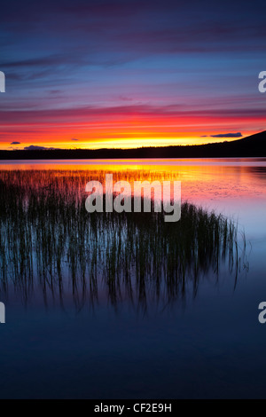 Été coucher de soleil sur le Loch Morlich près d'Aviemore dans le Parc National de Cairngorms. Banque D'Images