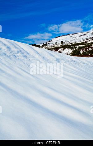 Collines couvertes de neige dans la remote Glen Feshie, partie du Parc National de Cairngorms. Banque D'Images