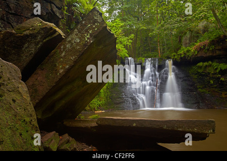 Harden Beck sur Goit en cascade Falls Stock en Stock Goit Bois. Banque D'Images