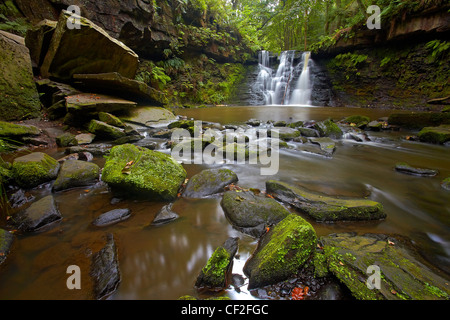 Harden Beck sur Goit en cascade Falls Stock en Stock Goit Bois. Banque D'Images