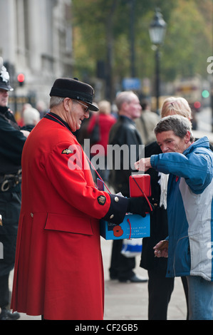 A Chelsea pensionné à recueillir de l'argent pour le Royal British Legion en vendant des coquelicots. Banque D'Images