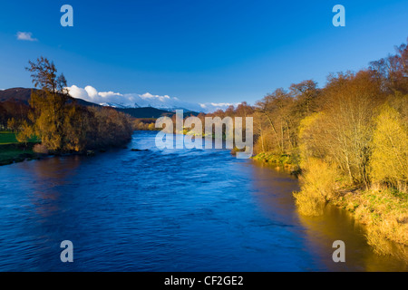 La rivière Spey, près du village de Boat of Garten dans le Parc National de Cairngorms. Banque D'Images