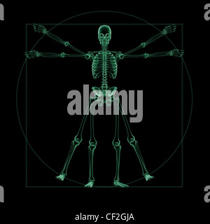 X-ray structure du squelette du bras humain Banque D'Images