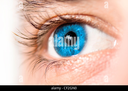 Macro d'une blue eye. Vue latérale, selective focus. Banque D'Images
