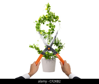 Us dollar coupe à blanc Banque D'Images