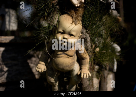 Une poupée se bloque sur l'île des poupées dans Xochimilco, au sud de Mexico, le 17 décembre 2011. Banque D'Images