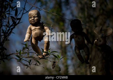 Une poupée est suspendu à un arbre sur l'île des poupées dans Xochimilco, au sud de Mexico, le 17 décembre 2011. Banque D'Images