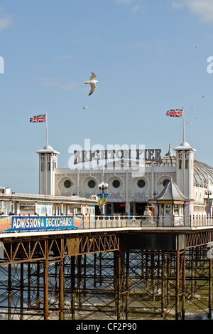 Le Brighton Pier et Marine Palace, connu sous le nom de Palace Pier ou jetée de Brighton. Banque D'Images