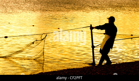 La pêche au saumon sur la rivière Tweed. Banque D'Images