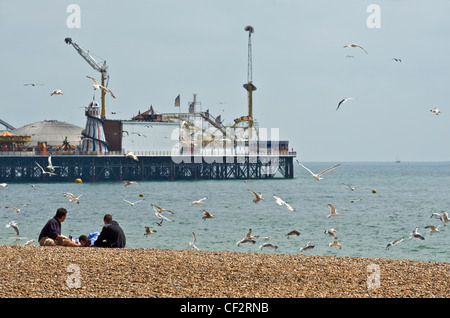 Vol de mouettes autour de jeunes hommes assis sur la plage de galets à Brighton. Banque D'Images