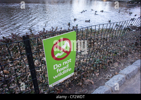 Un avertissement signe visiteurs à l'étang dans Central Park à New York de ne pas nourrir les animaux sauvages Banque D'Images