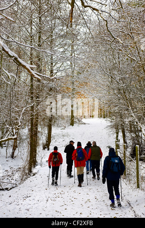 Les promeneurs marchant sur un chemin couvert de neige dans les bois. Banque D'Images