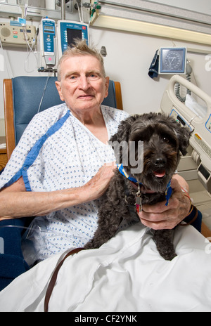 Visite de chien Vieil Homme Patient In Hospital Dans le cadre d'un la zoothérapie, Philadelphie USA Banque D'Images
