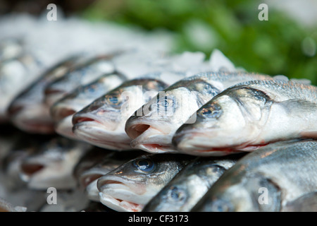 Vue de poisson frais sur l'affichage à Borough Market Banque D'Images