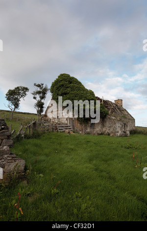 Les ruines d'un croft dans une partie reculée de l'Cabrach. Banque D'Images