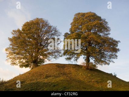 Deux arbres sur le sommet du monticule au château d'Oxford, de l'emplacement de l'origine en bois et garder la principale partie de la survivant Norman castl Banque D'Images
