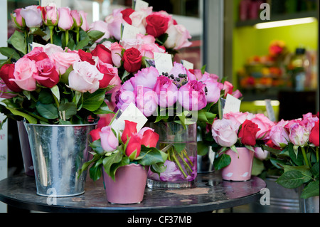 Fleurs fraîches Banque D'Images