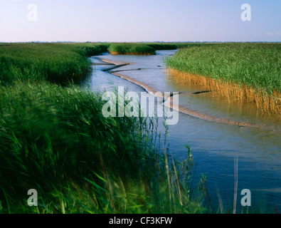 L'extrémité nord de la rivière Waveney, juste à l'ouest de Burgh Castle Roman Fort, où elle rejoint la rivière Yare en plomb de l'eau Breydon Banque D'Images