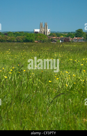 Une vue d'été sur les pâturages connu sous le nom de Beverly Westwood vers Beverley Minster. Banque D'Images