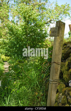 Un panneau en bois pour les Dales Way vers le bas un sentier. Banque D'Images