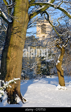 Le Yorkshire Museum Gardens en hiver avec St Olave's Church dans l'arrière-plan. Banque D'Images