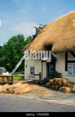 Un homme du remplacement d'un toit de chaume traditionnel sur un chalet. Banque D'Images