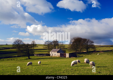 Le pâturage des moutons d'une ferme isolée, maintenant utilisé comme une grange, à proximité du petit village de Flagg dans l'ouest de Peak District. Banque D'Images