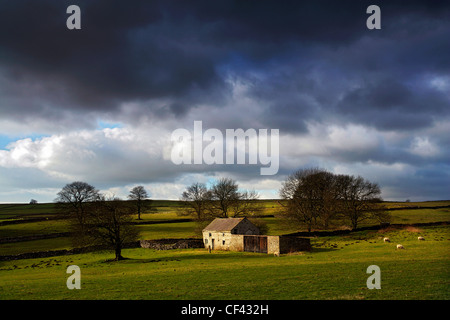 Le pâturage des moutons d'une ferme isolée, maintenant utilisé comme une grange, à proximité du petit village de Flagg dans l'ouest de Peak District. Banque D'Images