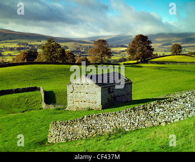 Une grange traditionnelle en pierre et les murs dans Wensleydale dans le Yorkshire Dales. Banque D'Images