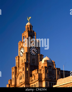 Haut de la Royal Liver Building, l'un des plus reconnaissables de repère et un élément important de l'eau de Liverpool Banque D'Images