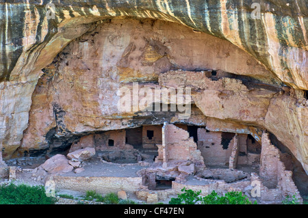 Oak Tree House dans une alcôve à Chaplin, Mesa de Mesa Top Loop vue, Mesa Verde National Park, Colorado, USA Banque D'Images