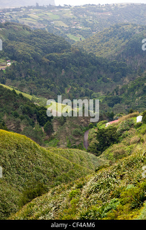 Avis de Diana's Peak montrant culture du lin sur le flanc de l'île de Sainte-Hélène dans l'Atlantique Sud Banque D'Images