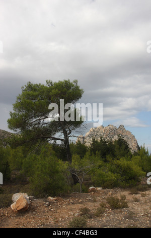 Cinq Doigts de montagne dans la République turque de Chypre du Nord, les montagnes Besparmak. Banque D'Images