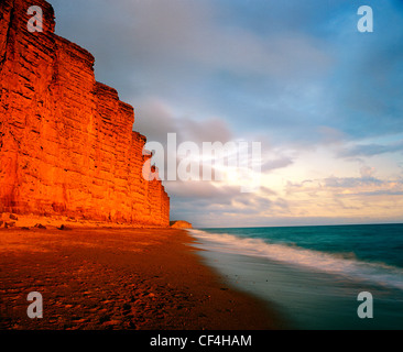 Lumière du soir sur les falaises de grès qui dominent la baie de Lyme. Banque D'Images