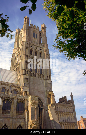 Cathédrale d'Ely, connue localement comme 'le navire des Fagnes". Banque D'Images