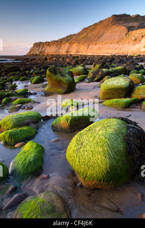 Runswick est situé sur la côte est dans le North Yorkshire Moors. Runswick Bay a récemment été voté le meilleur endroit dans le co Banque D'Images