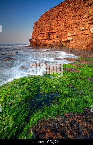 La marée sur le matériel roulant à la plage rocheuse à Winspit près de Worth Matravers. Winspit est une ancienne carrière située sur les falaises de l'île de Pu Banque D'Images