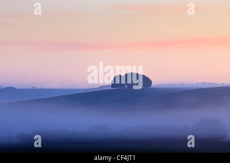 Morning Mist sur les collines près d'Avebury. Banque D'Images