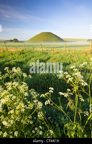 Silbury Hill, un monticule artificiel de la craie, le plus haut par l'homme préhistorique mound en Europe, sur un matin d'été à Sea Cow Banque D'Images