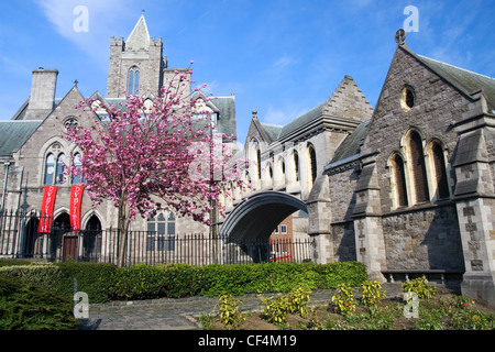 11e siècle de style gothique Cathédrale Christ Church (église de la Sainte Trinité) à Dublin, Irlande. Banque D'Images