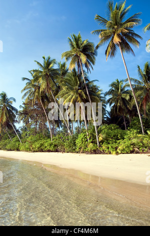 Paysage de l'île tropicale avec une plage de sable blanc à distance désertes et les cocotiers en Thaïlande. Banque D'Images